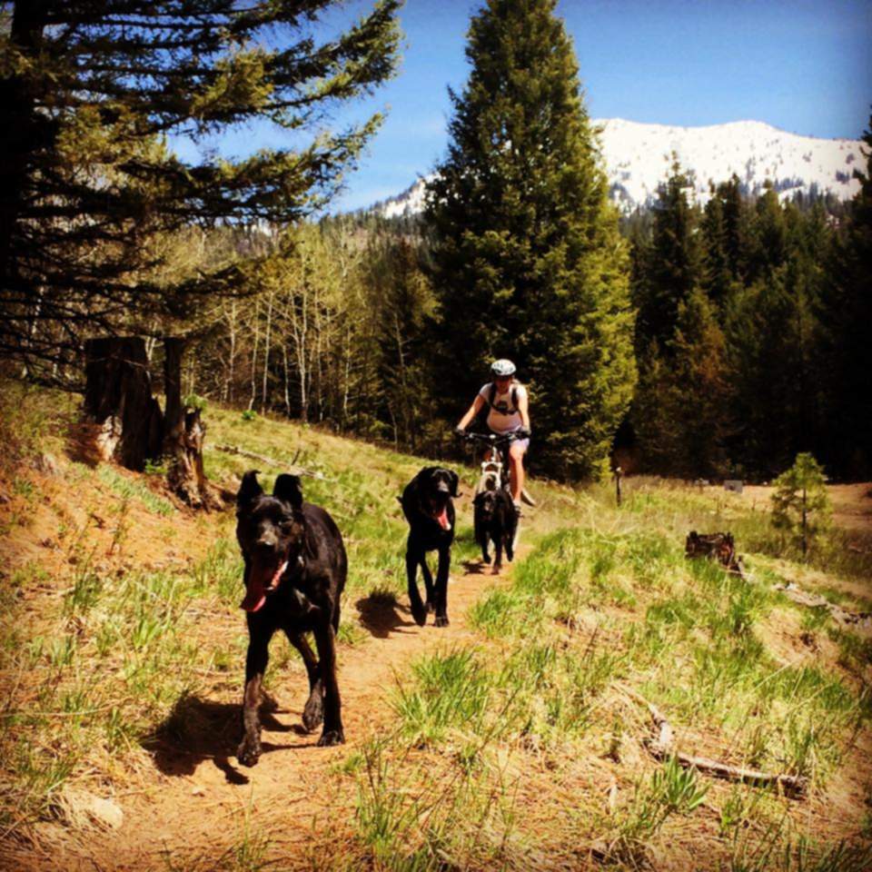 5 Dog-Friendly Adventures in McCall