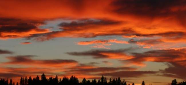 Sunset-Concert-Tamarack-650x300