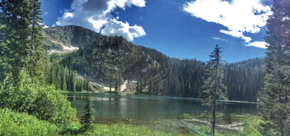 Payette National Forest - East Fork Lake Fork Creek (Snowslide