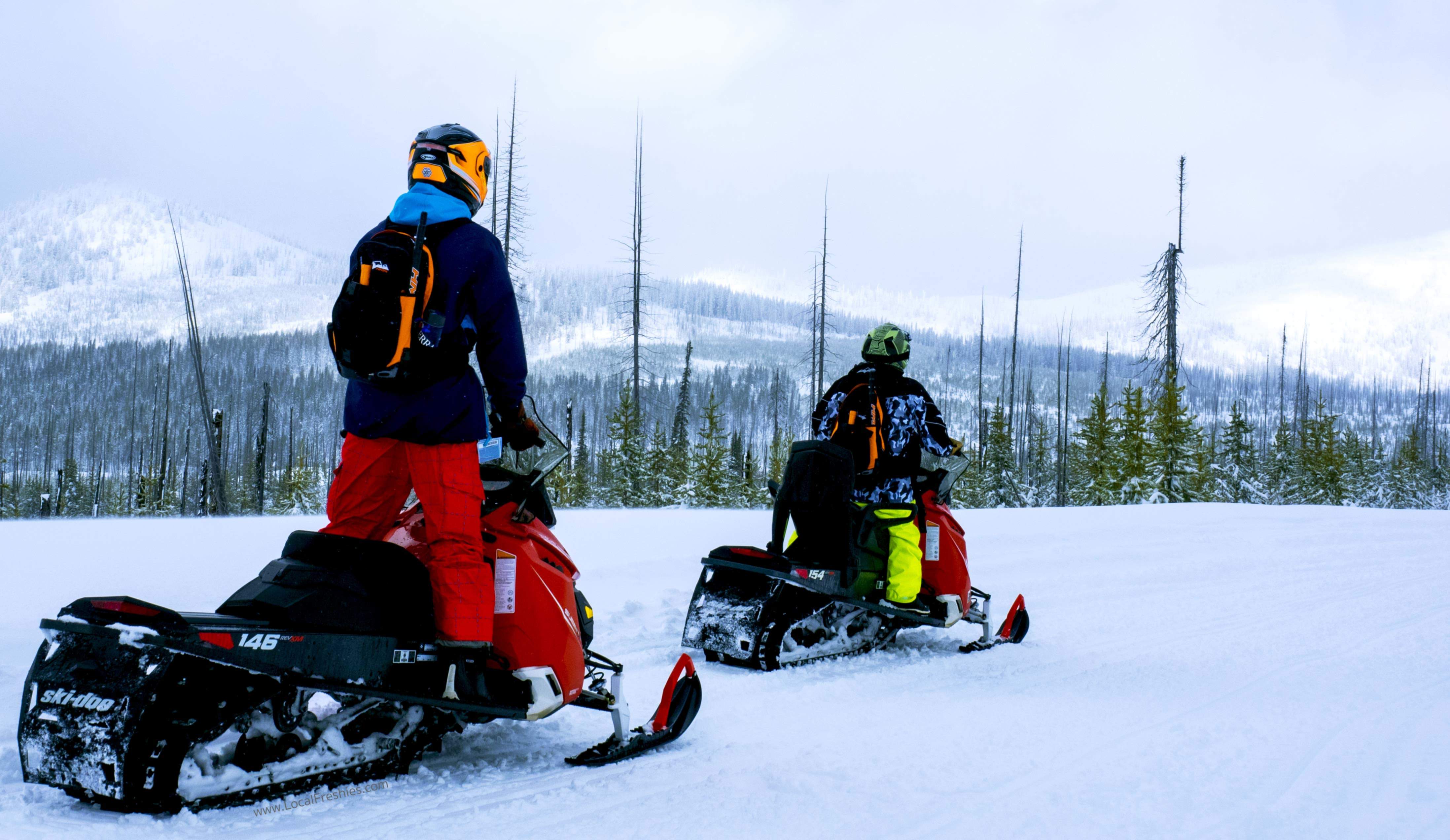 Guided Snowmobiling in McCall, Idaho