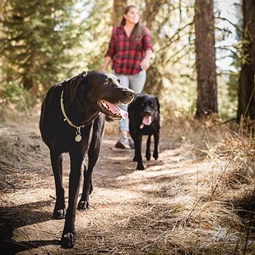Hiking