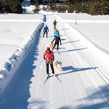 Nordic Trails