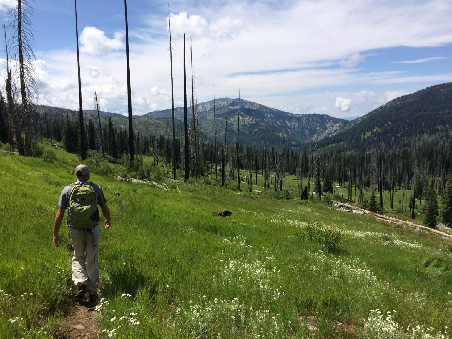 Favorite Hiking Trails Around McCall - Ask An Expert - McCall Idaho ...