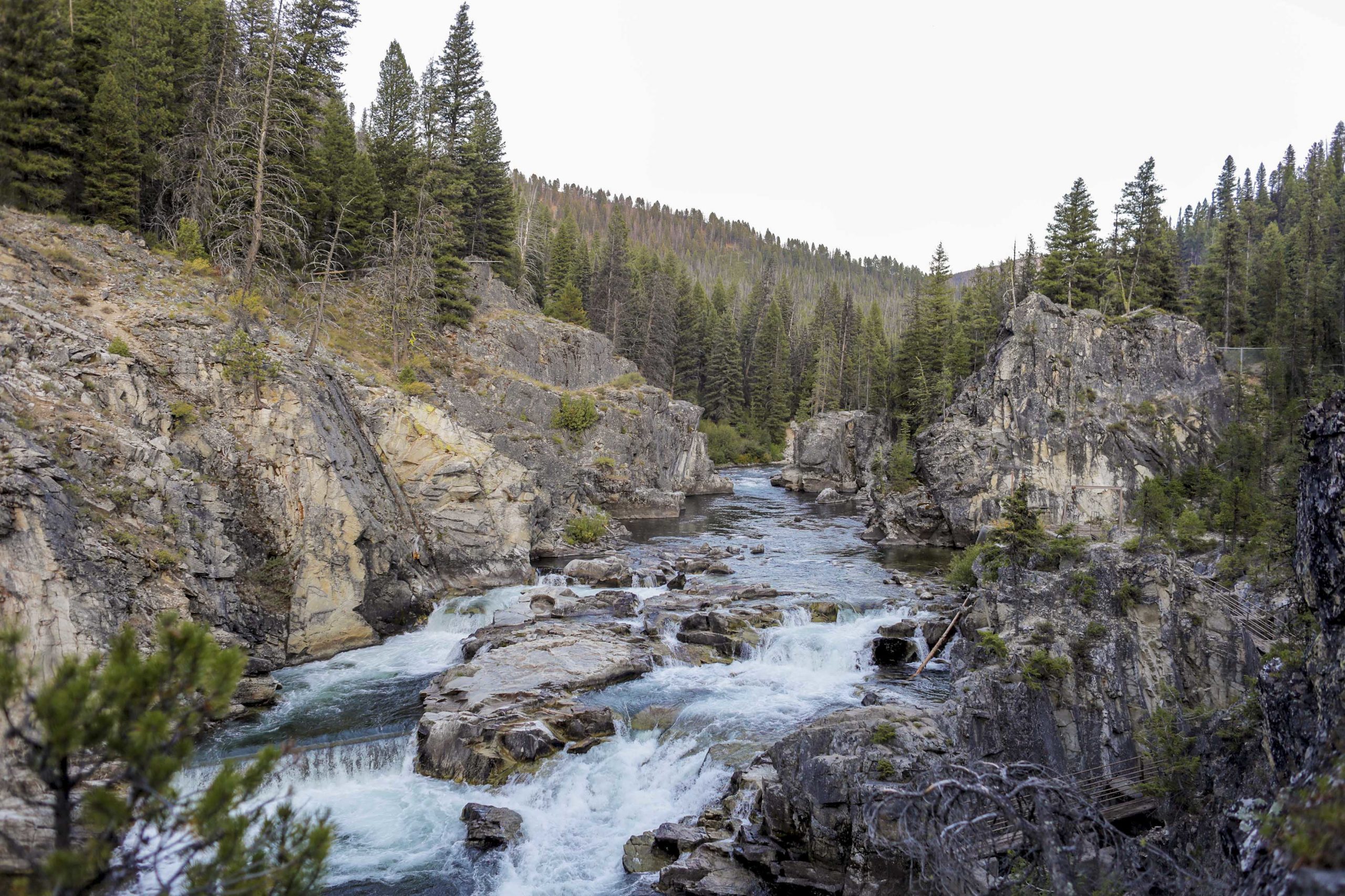 Idaho Gold: A Middle Fork River Trip