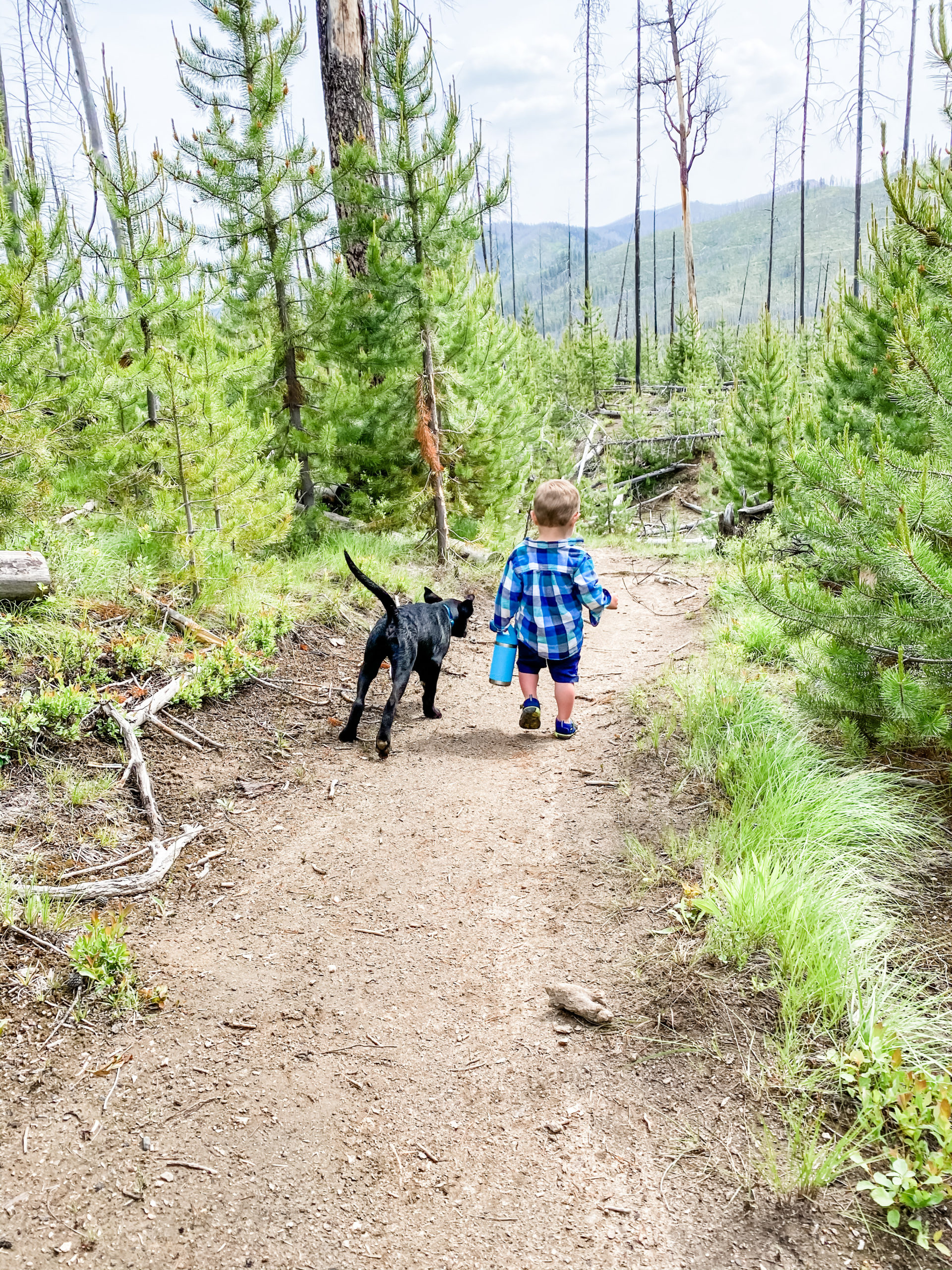 5 Great Hikes With Young Kids