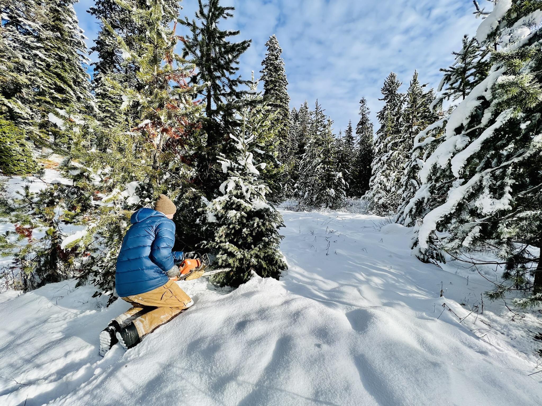 Cutting a Christmas Tree Tips from the Locals McCall Idaho, Let's Go!