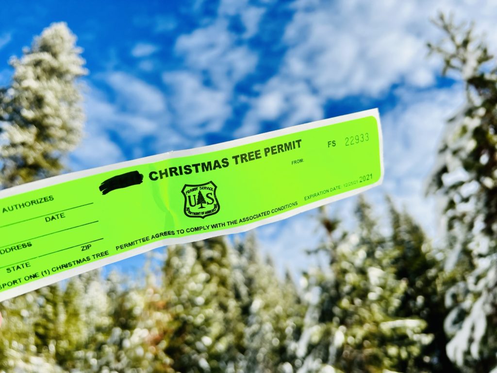 Cutting a Christmas Tree: Tips from the Locals - McCall Idaho, Let's Go!