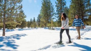 Snowshoeing
