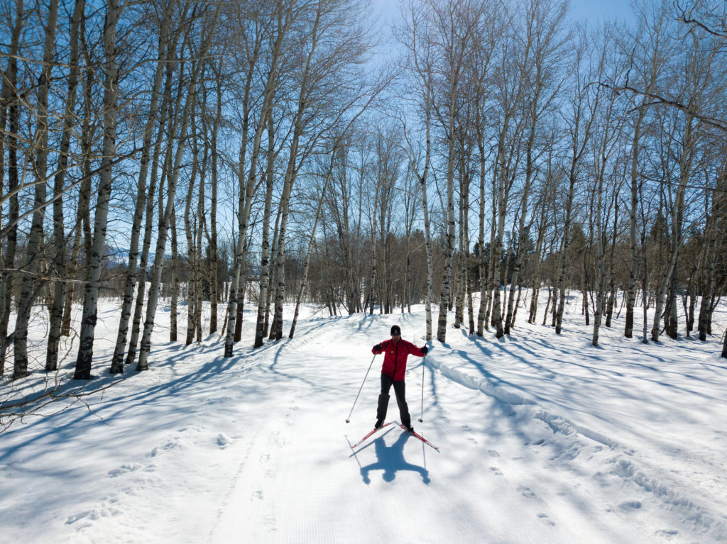 How to cross-country ski