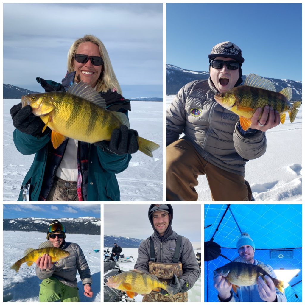 5 Questions  Ice Fishing with Cody Fox - McCall Idaho, Let's Go!