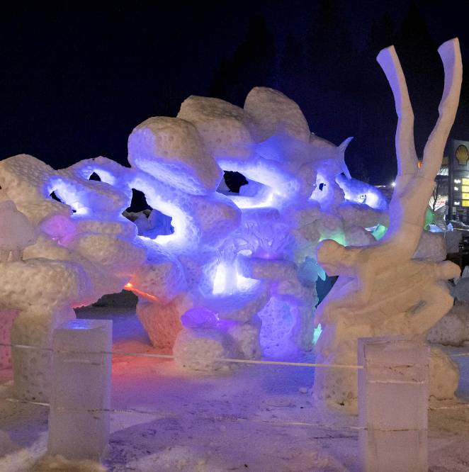 An ice sculpture lit with colored lights at night.