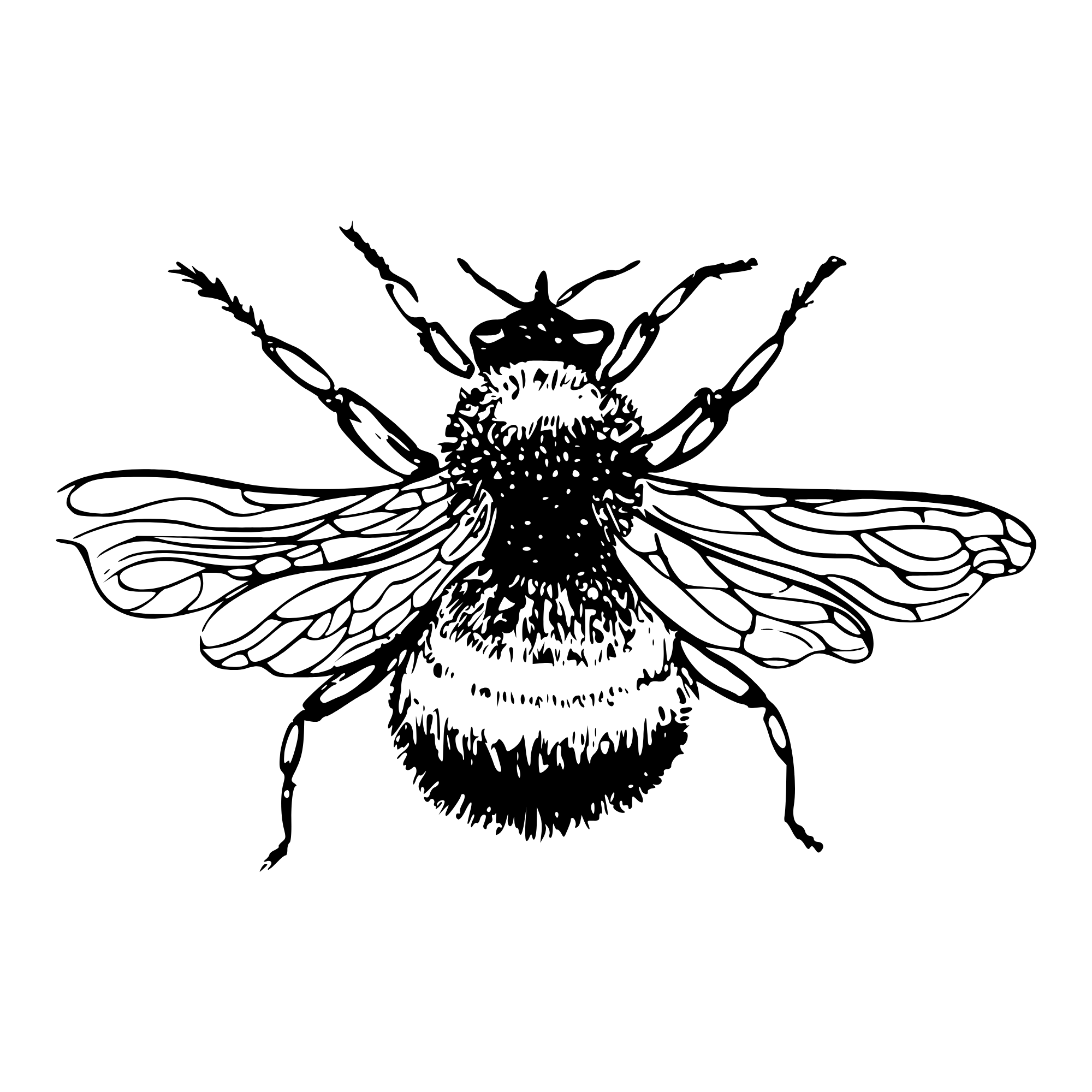 Simply Beer Logo A black and white line drawing