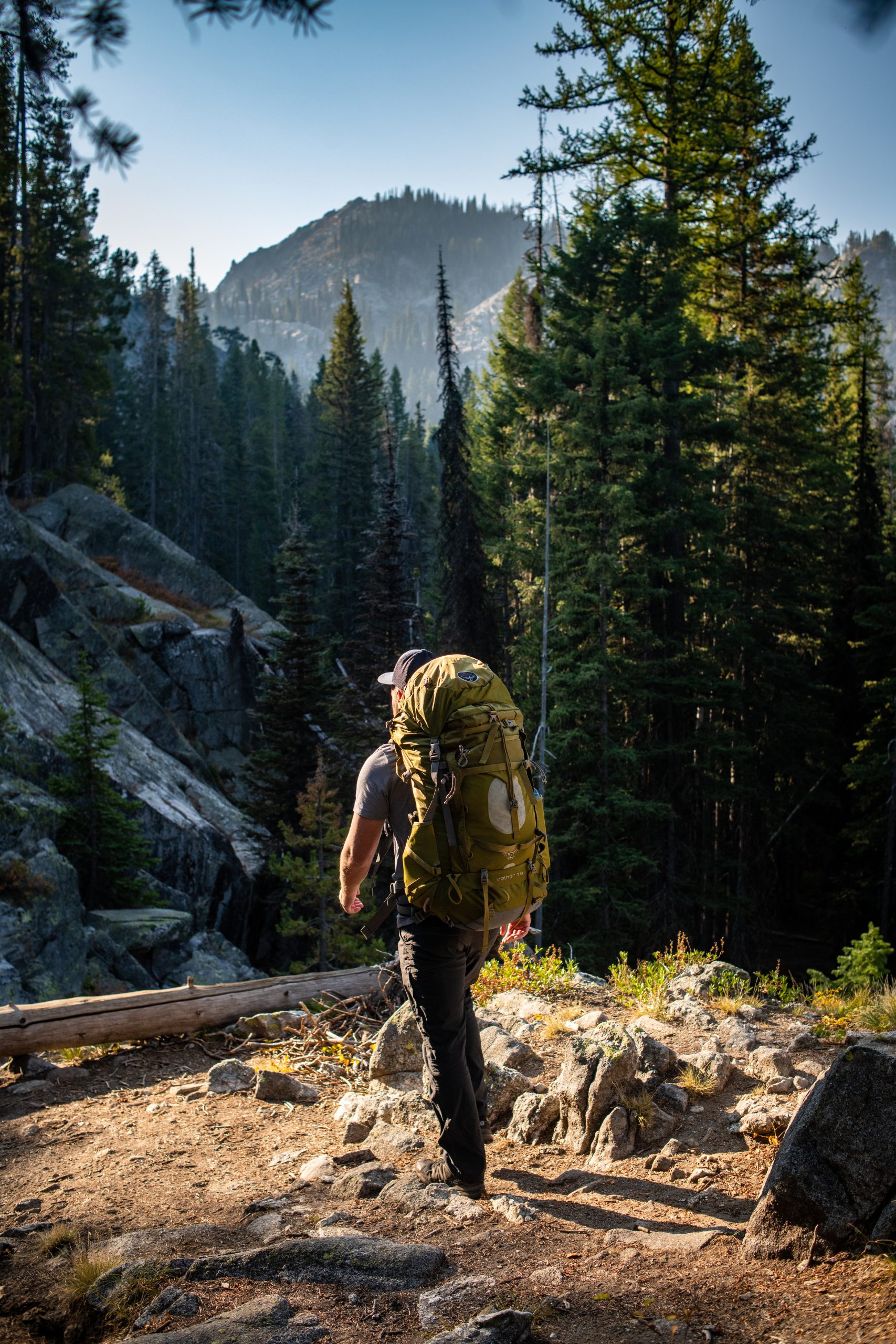 A person with a backpack standing on rocky dirt trail overlooking a forest of tall trees.