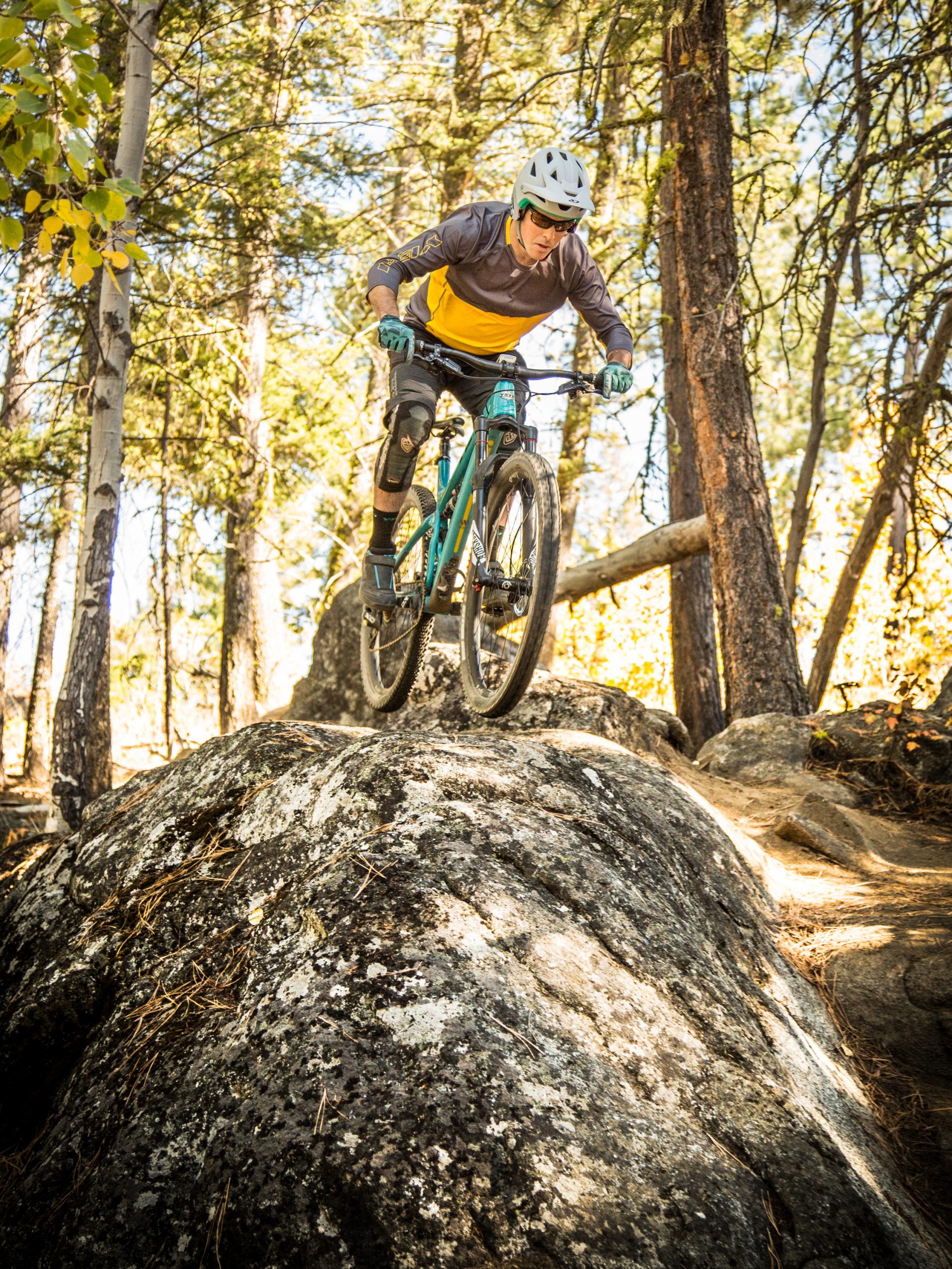 A person jumping a mountain bike over a large rock in a forest of trees at Jug Mountain Ranch.