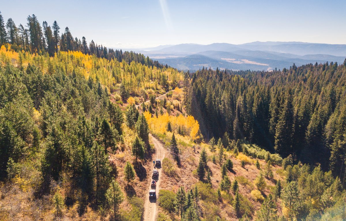 Four ATVs riding on a dirt mountain trail surrounded by a forest of evergreens and yellow fall leaves