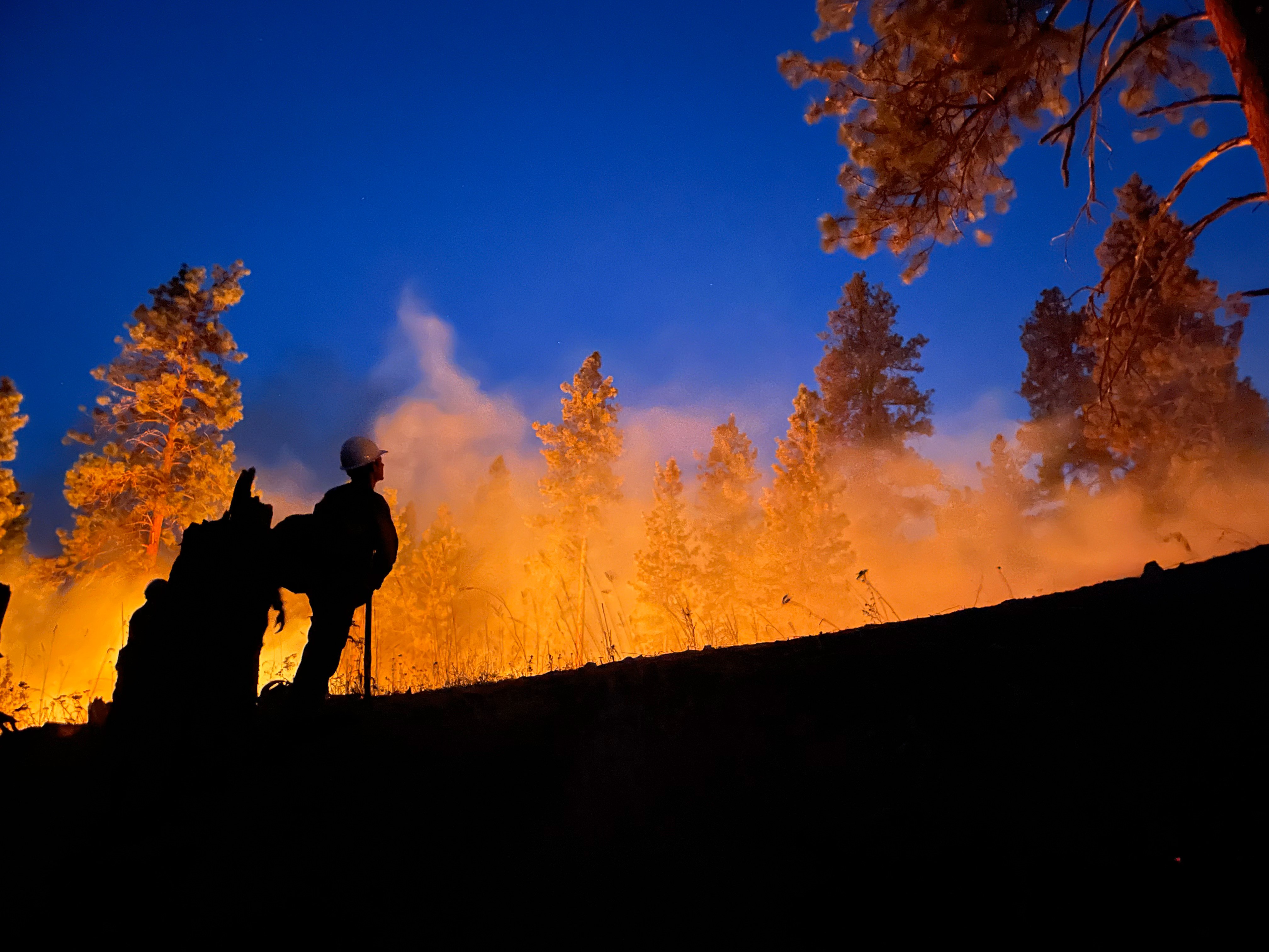 Slice of Life: McCall Smokejumpers