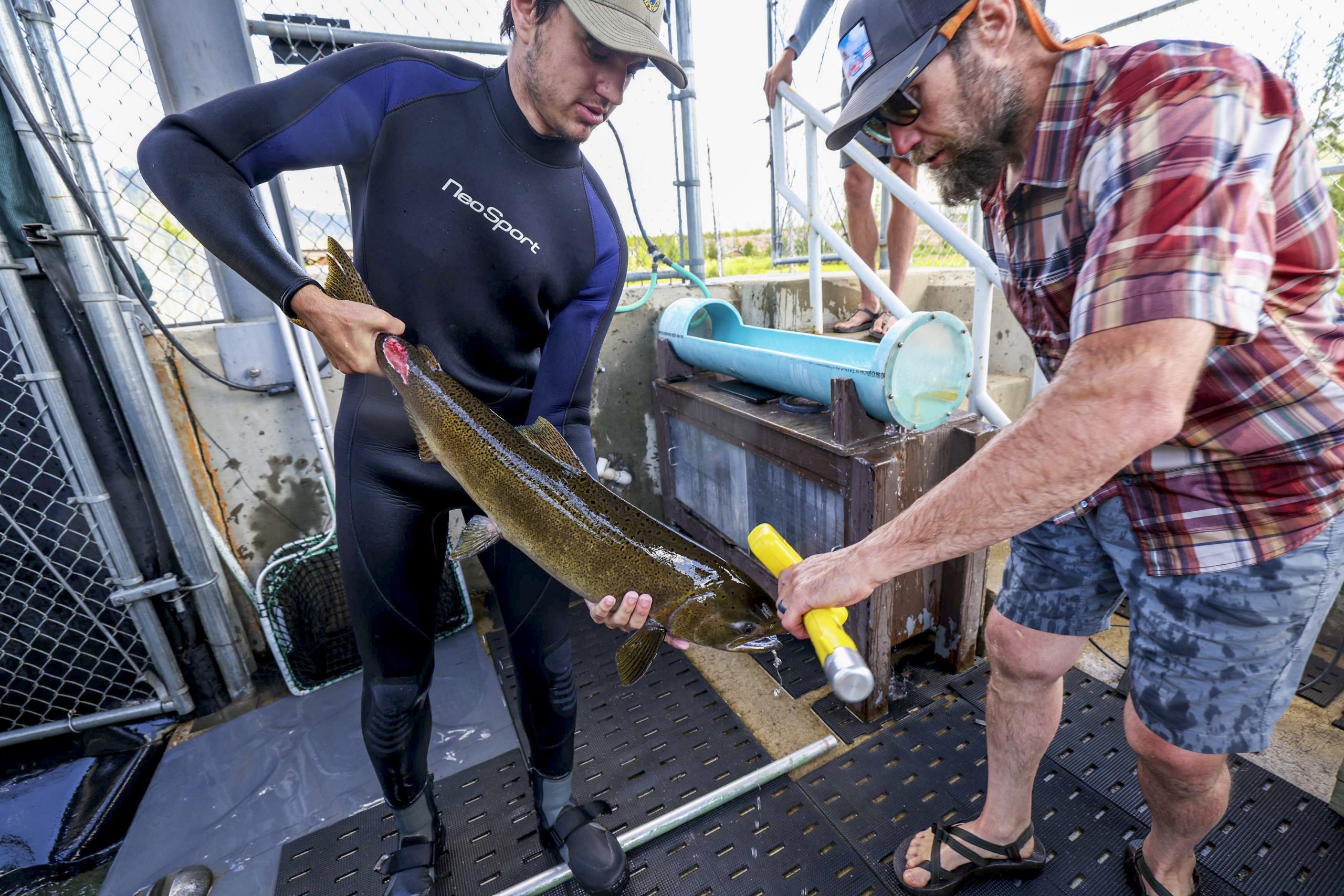Feeding the Future: McCall Fish Hatchery