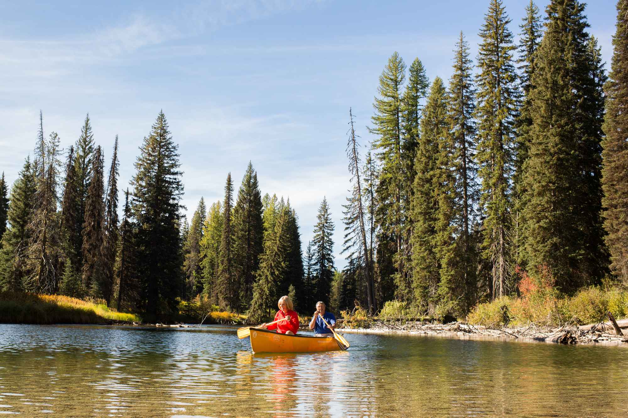 Two people rowing a canoe on a lake surrounded by a forest of tall trees.