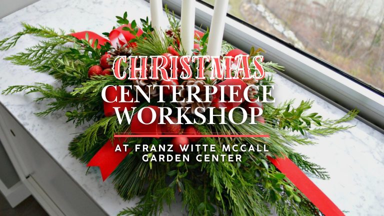 Christmas Centerpiece Workshop