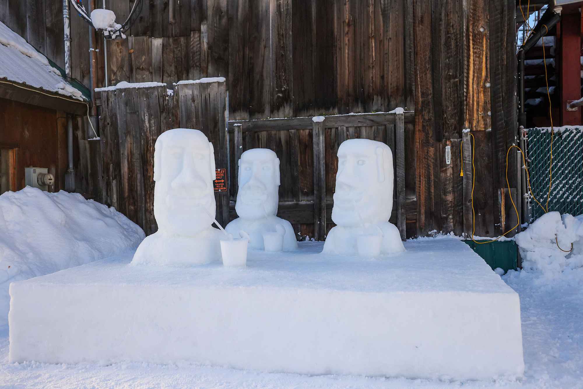 Snow sculptures carved into the snow at the McCall Winter Carnival.