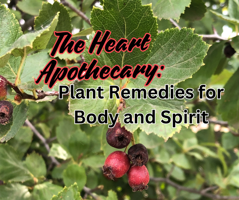 The Heart Apothecary: Plant Remedies for Body and Spirit