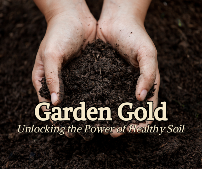 Garden Gold: Unlocking the Power of Healthy Soil