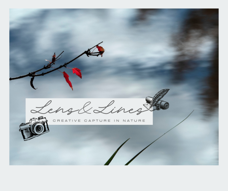 Lens & Lines: Creative Capture in Nature