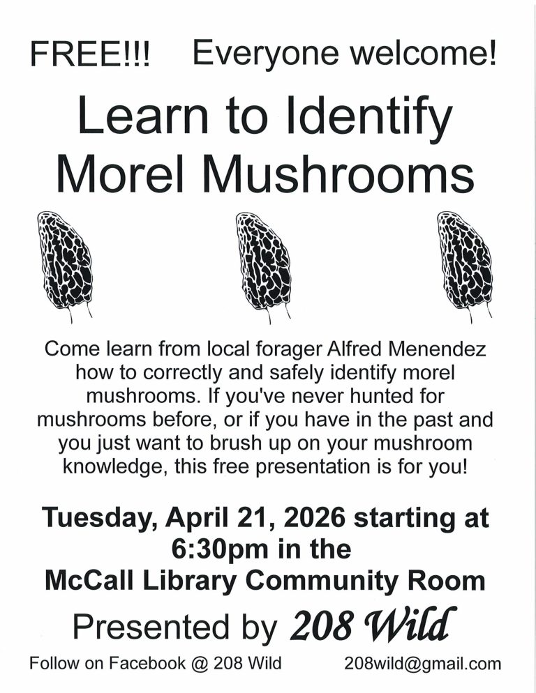 Learn to Identify Morel Mushrooms