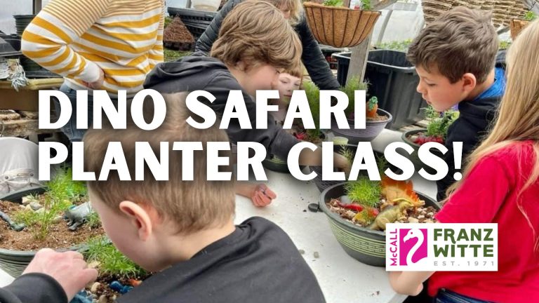 Dino Safari Planter Class