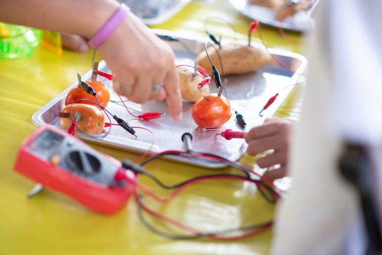 Earth Science Day Camp at Tamarack