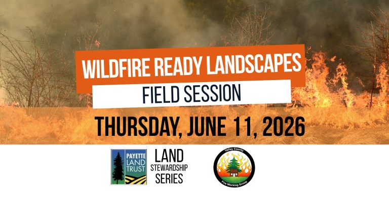 Wildfire Ready Landscape